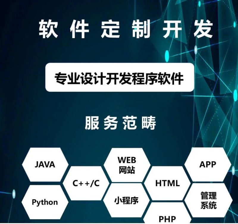 上海范雪网络科技有限公司：引领科技未来的新力量